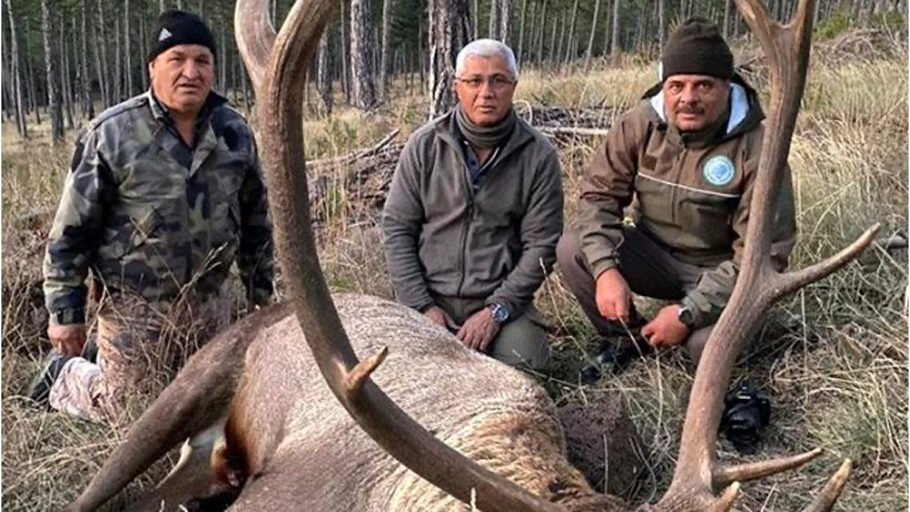 Former MHP mayor under fire for killing endangered deer