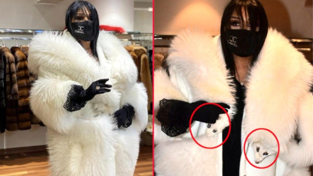 NGO rejects Turkish singer's fur coat donations over animal rights