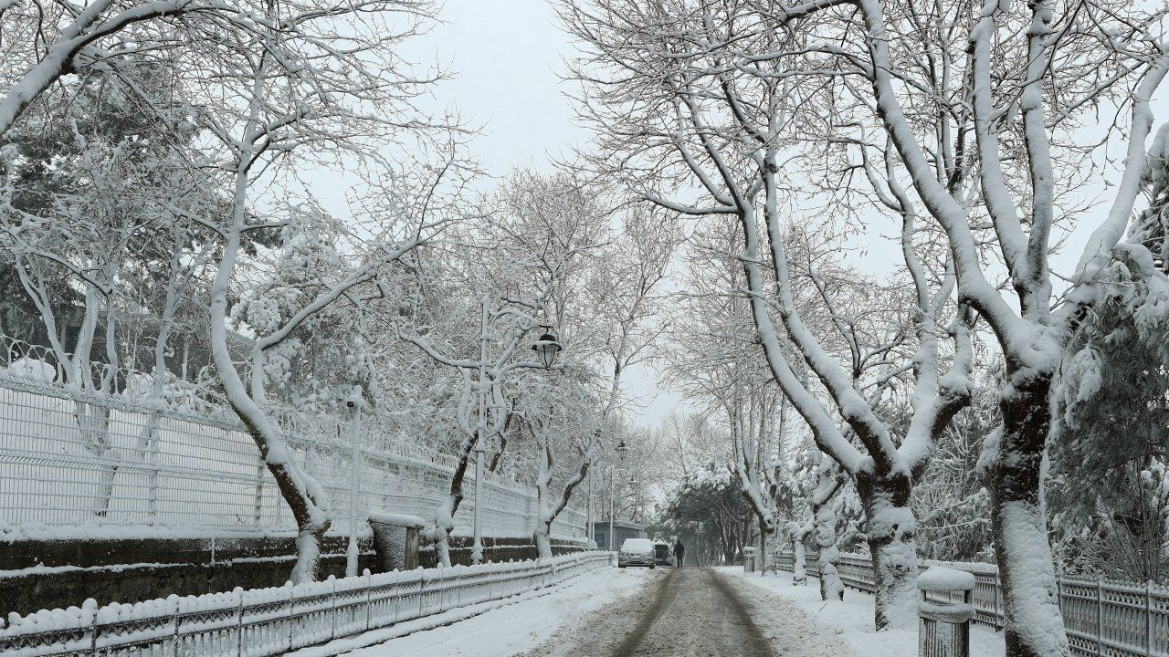 Snowfall takes over Istanbul's deserted streets amid curfew - Page 2