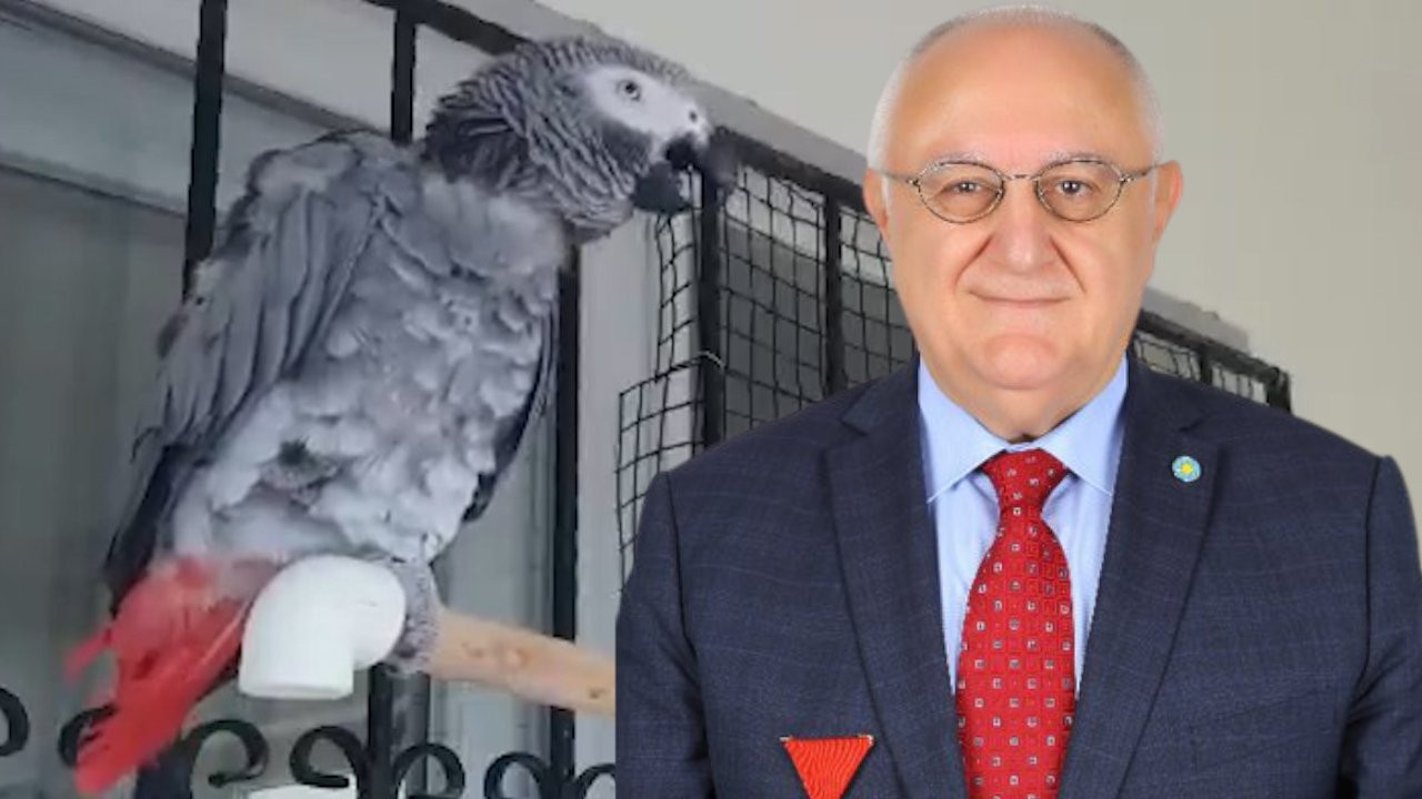 İYİ Party MP brags about teaching nationalist oath to his parrot