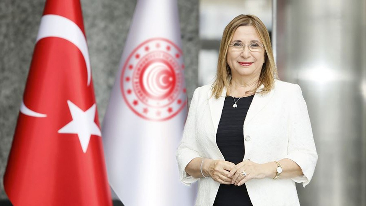 Turkish Trade Ministry confirms disinfectant purchase from minister's company