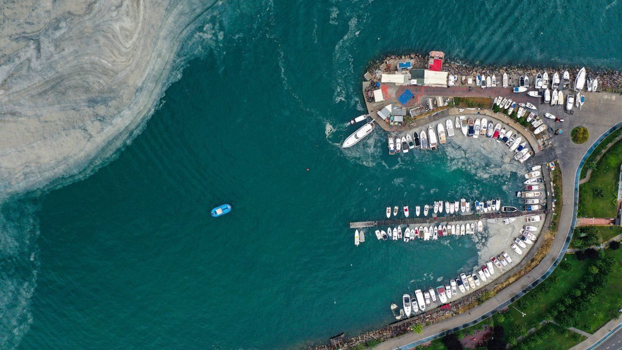 Turkey says it will defeat 'sea snot' outbreak in Marmara Sea - Page 8