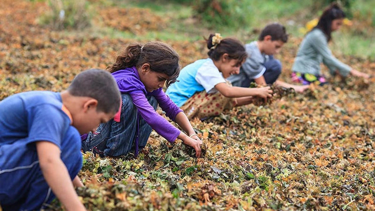 Ministry report reveals worrying extent of child labor in Turkey