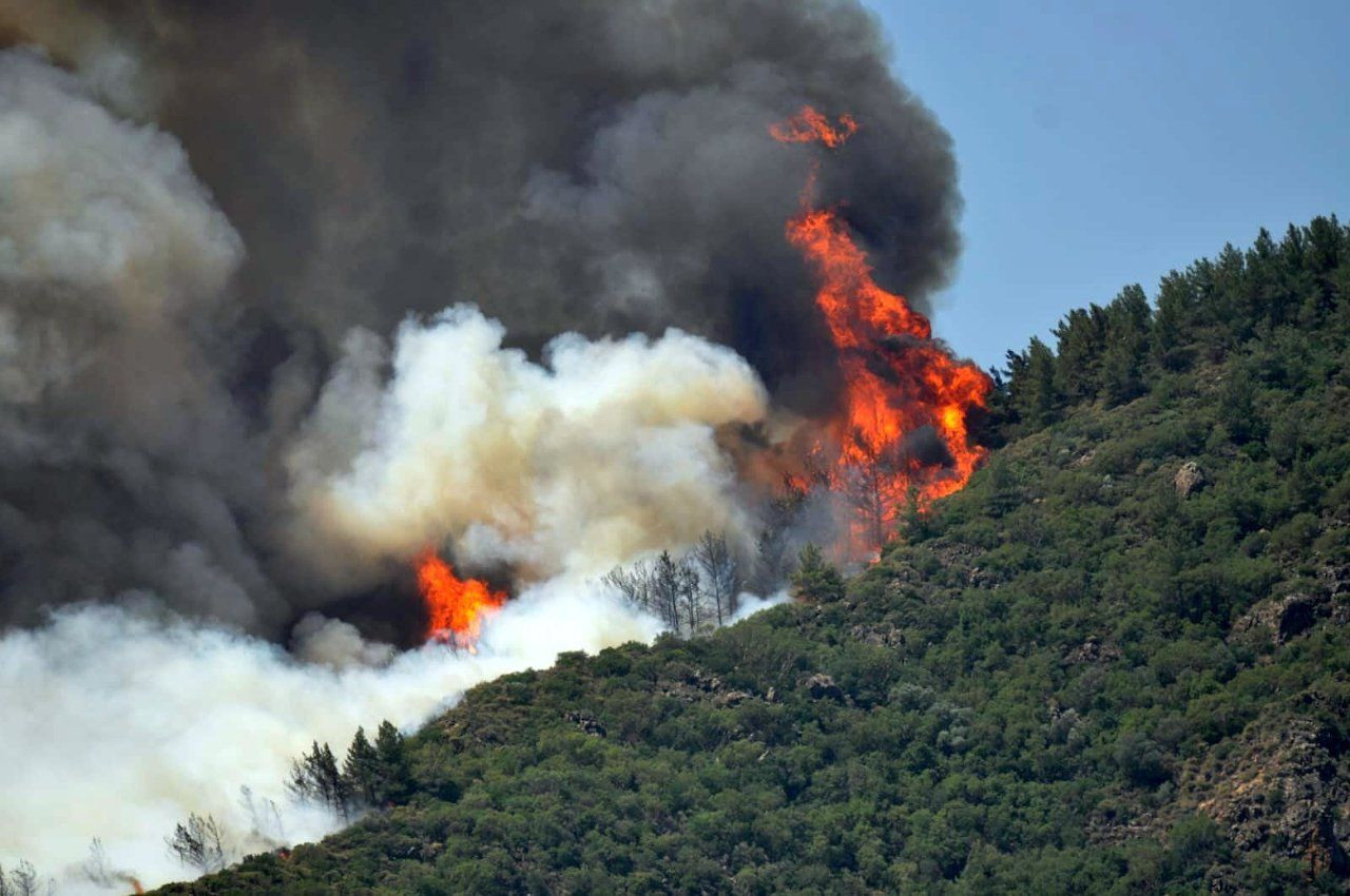 Forest fire erupts in Turkey's touristic Marmaris district - Page 2