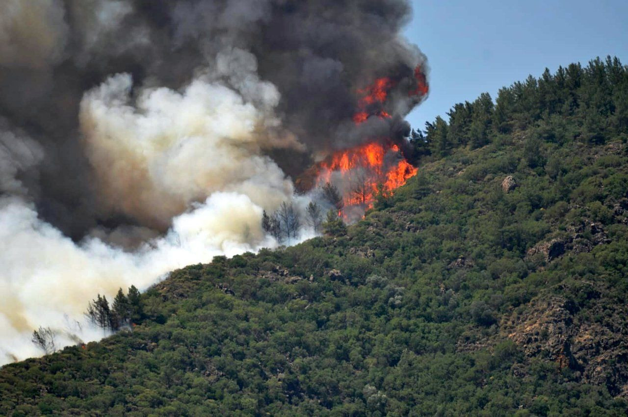Forest fire erupts in Turkey's touristic Marmaris district - Page 5
