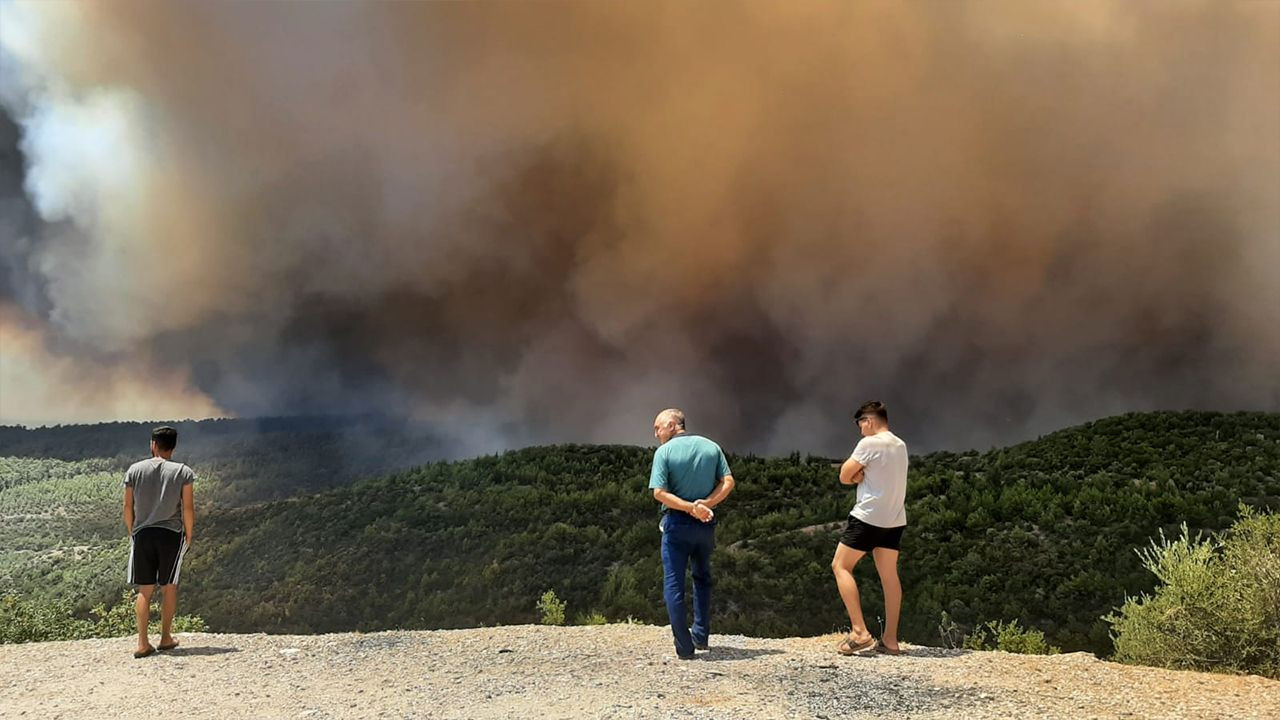 Massive forest fire spreading into settlement areas in Mediterranean district - Page 5