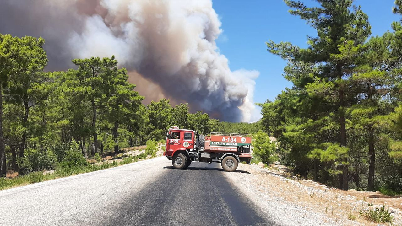 Massive forest fire spreading into settlement areas in Mediterranean district - Page 4