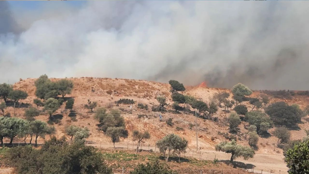 New fire in Aegean Bodrum threatens settlement areas - Page 4