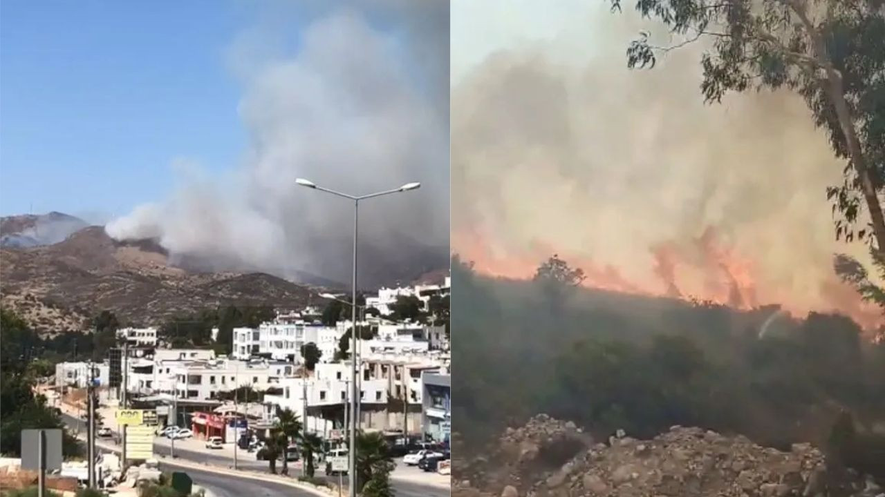 New fire in Aegean Bodrum threatens settlement areas - Page 5