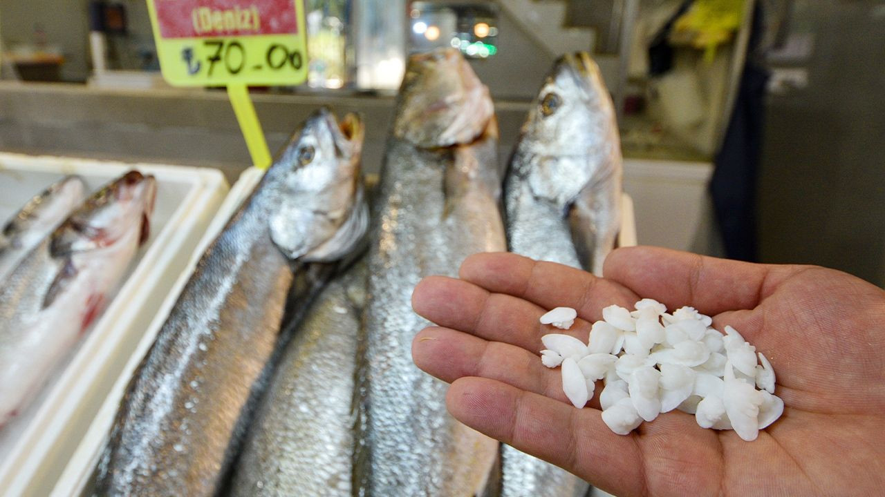 Turkish consumers rave for stones found in fish heads - Page 5