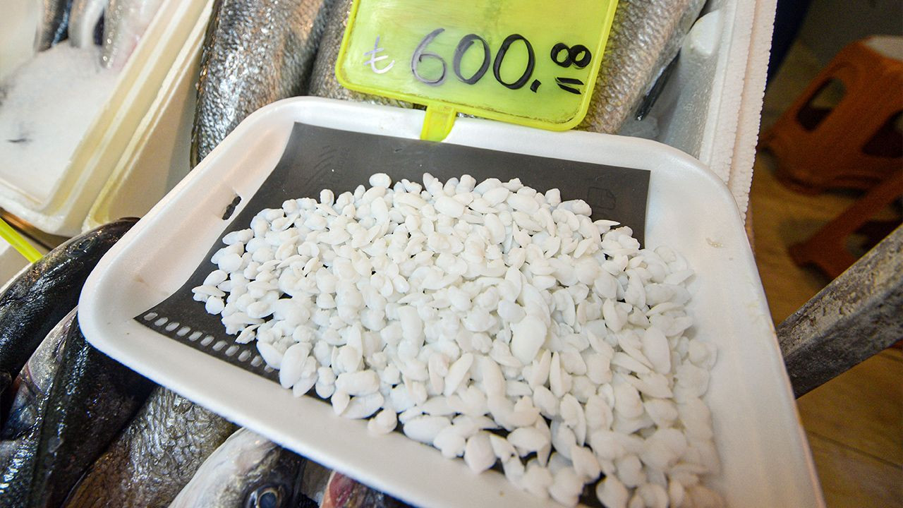Turkish consumers rave for stones found in fish heads - Page 2
