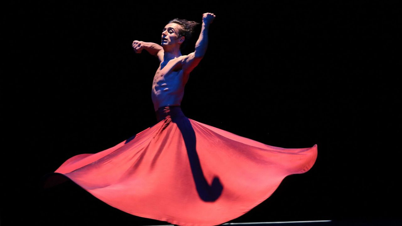 AKP, MHP members call world-famed dancer 'naked whirling dervish' - Page 5