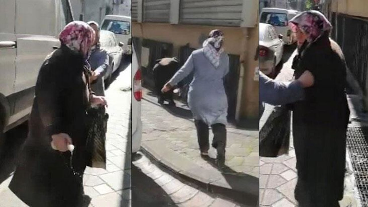 Locals catch woman pouring bleach into stray animals' food in Istanbul