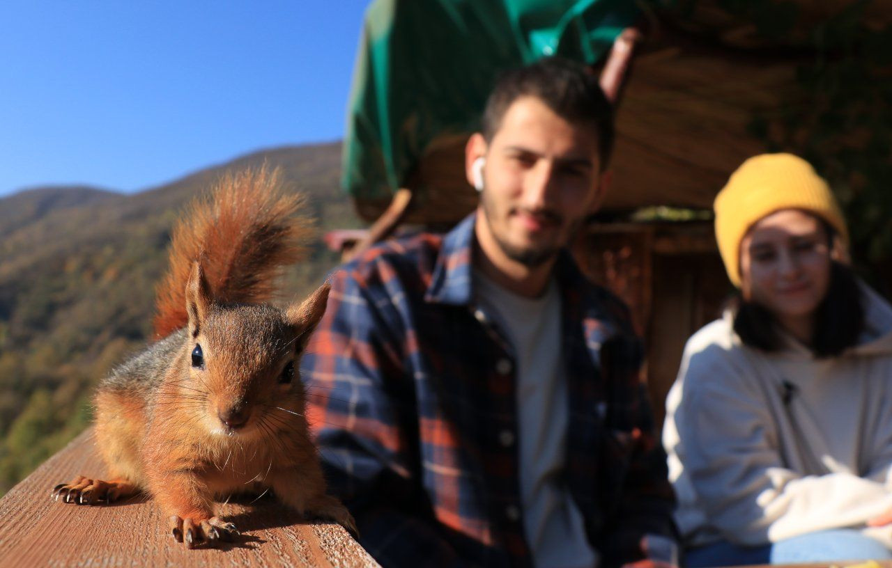 Baby squirrel Alvin becomes member of Turkish family - Page 5