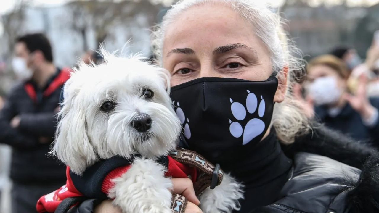 Turkish animal defenders protest government's persecution of stray dogs - Page 4
