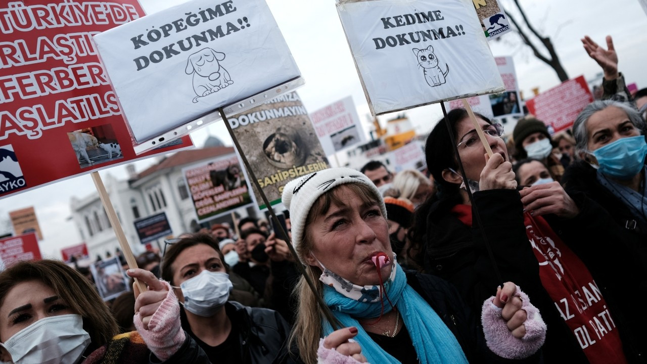 Turkish animal defenders protest government's persecution of stray dogs