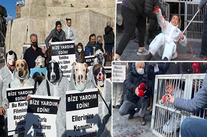 Turkish animal right defenders reenact capture of stray dogs in protest