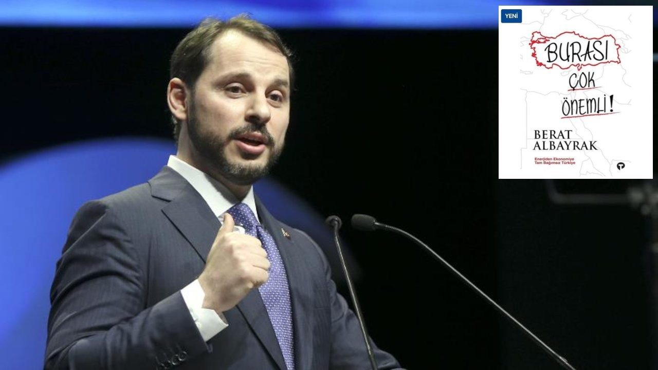 After months of silence, former Finance Minister Albayrak publishes book on economics