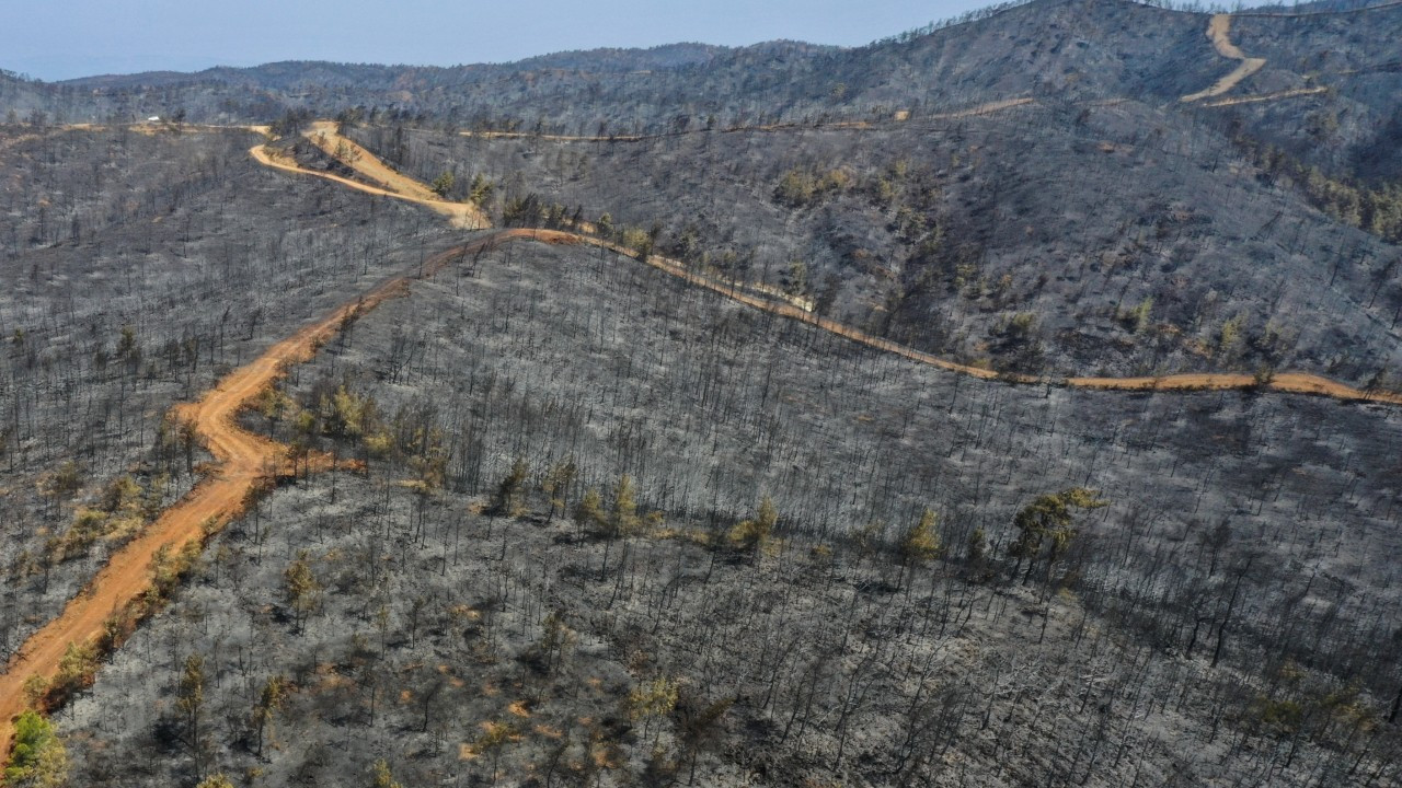AKP, MHP vote down proposals for parliamentary inquiry into wildfires