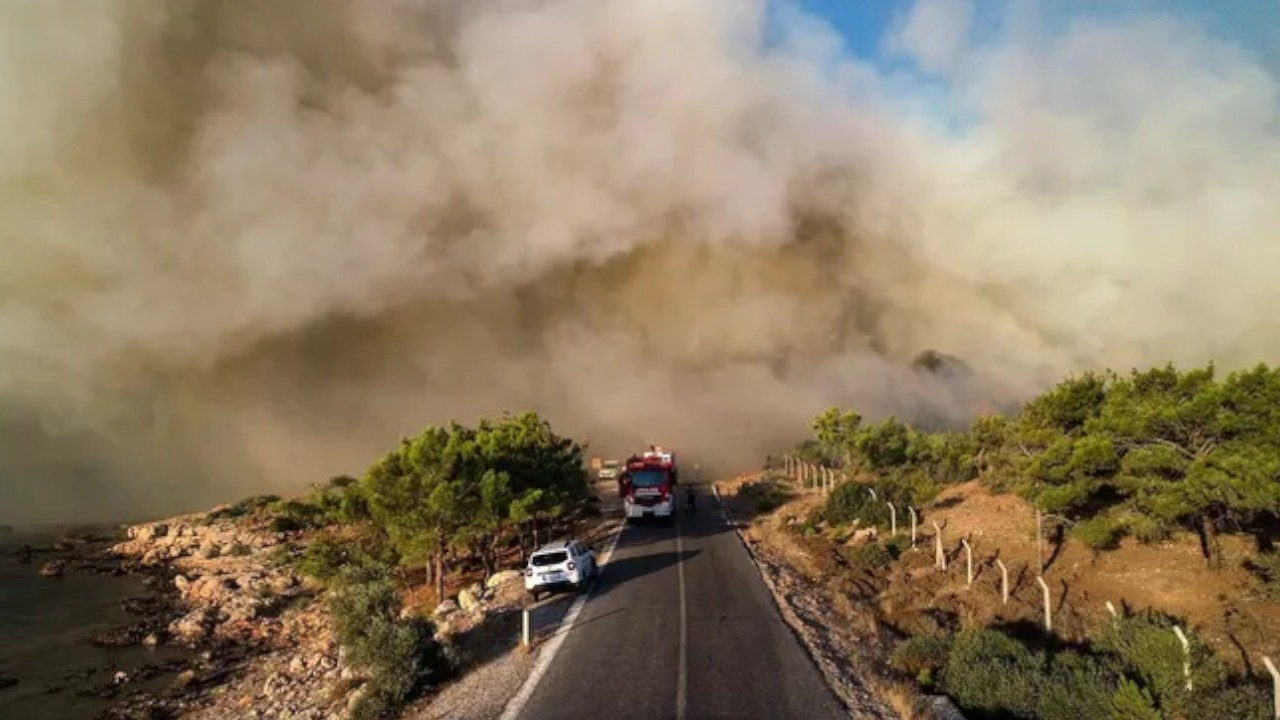 Firefighters tackle forest blaze in southern Mersin
