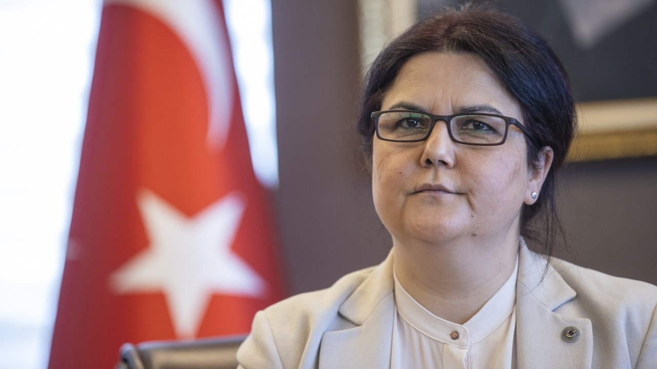 Turkish family minister deems alcohol main cause of violence against women