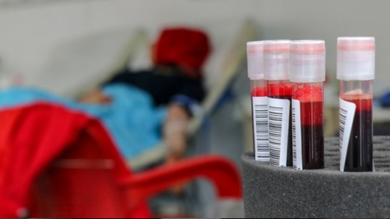 Turkish Red Crescent to pay compensation after causing death of man by giving him blood with HIV
