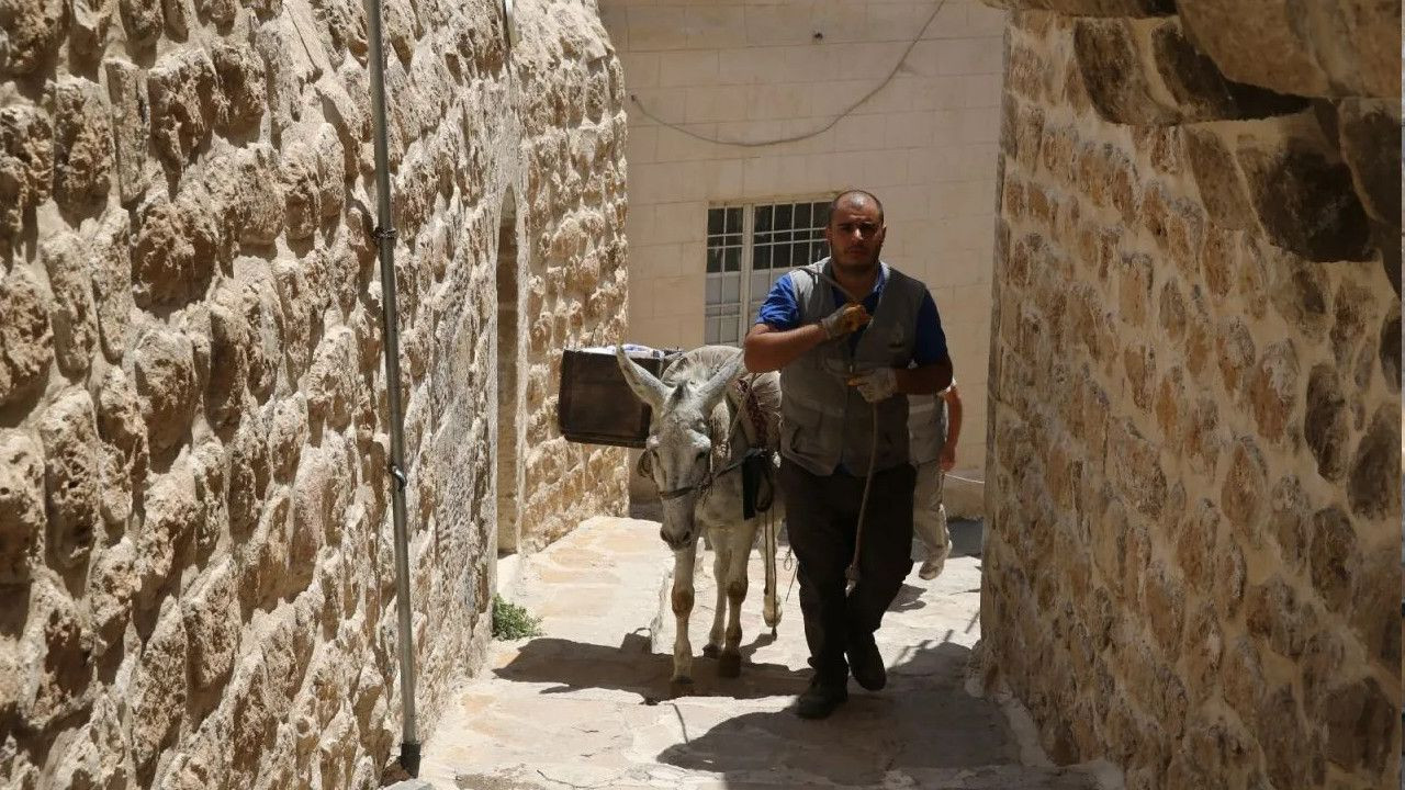 Donkeys to work five hours in southeastern Mardin due to scorching heat - Page 2