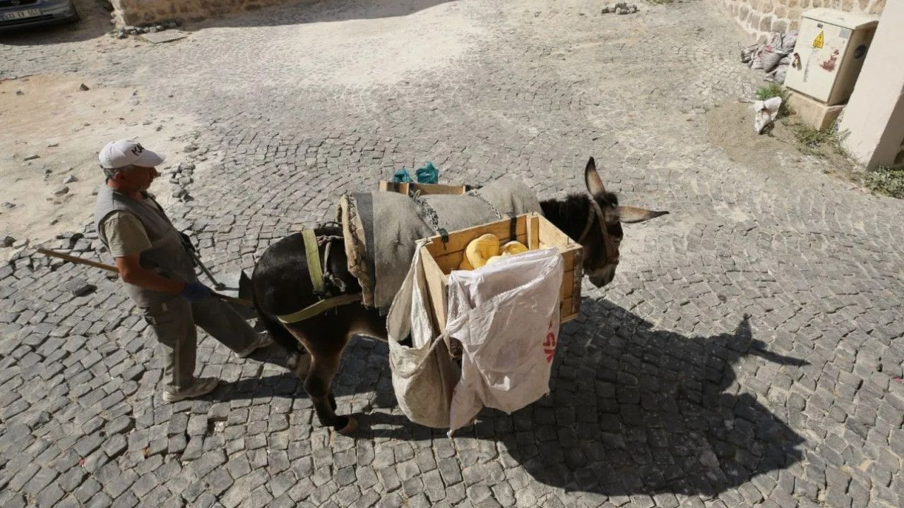 Donkeys to work five hours in southeastern Mardin due to scorching heat - Page 3