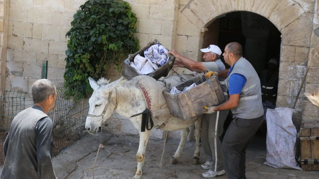 Donkeys to work five hours in southeastern Mardin due to scorching heat - Page 4