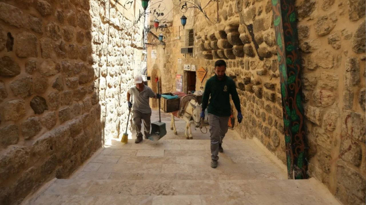 Donkeys to work five hours in southeastern Mardin due to scorching heat - Page 5