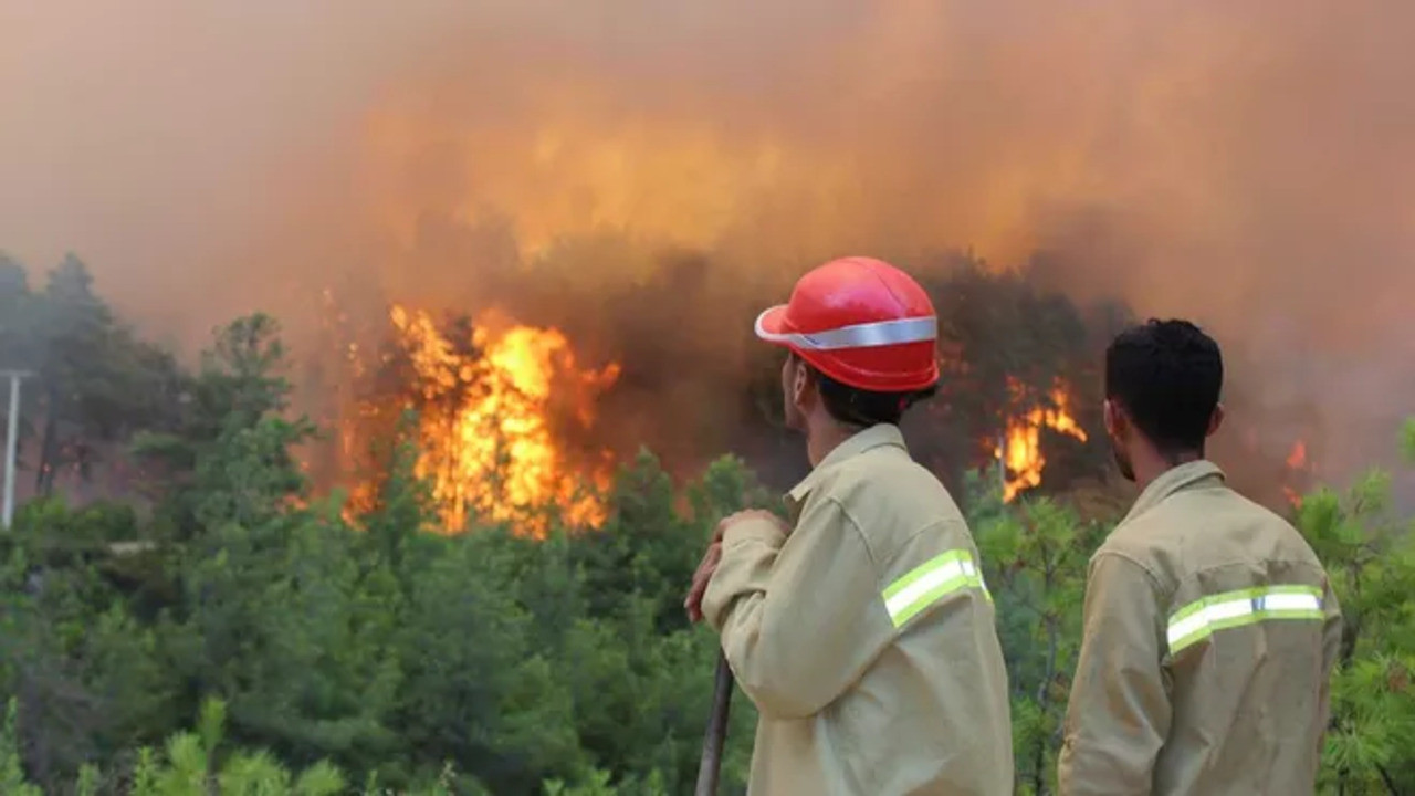 Turkey struggles with forest fires in many provinces