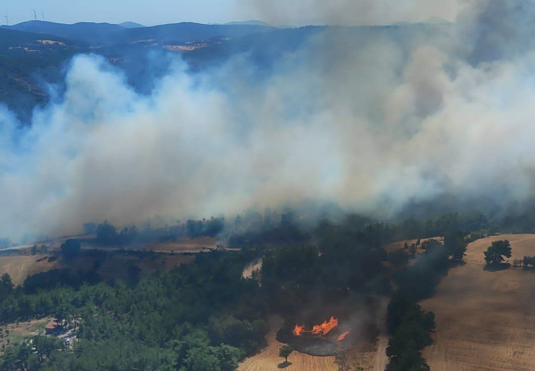 Firefighters curb wildfire in Turkey’s northwestern region after two days - Page 2