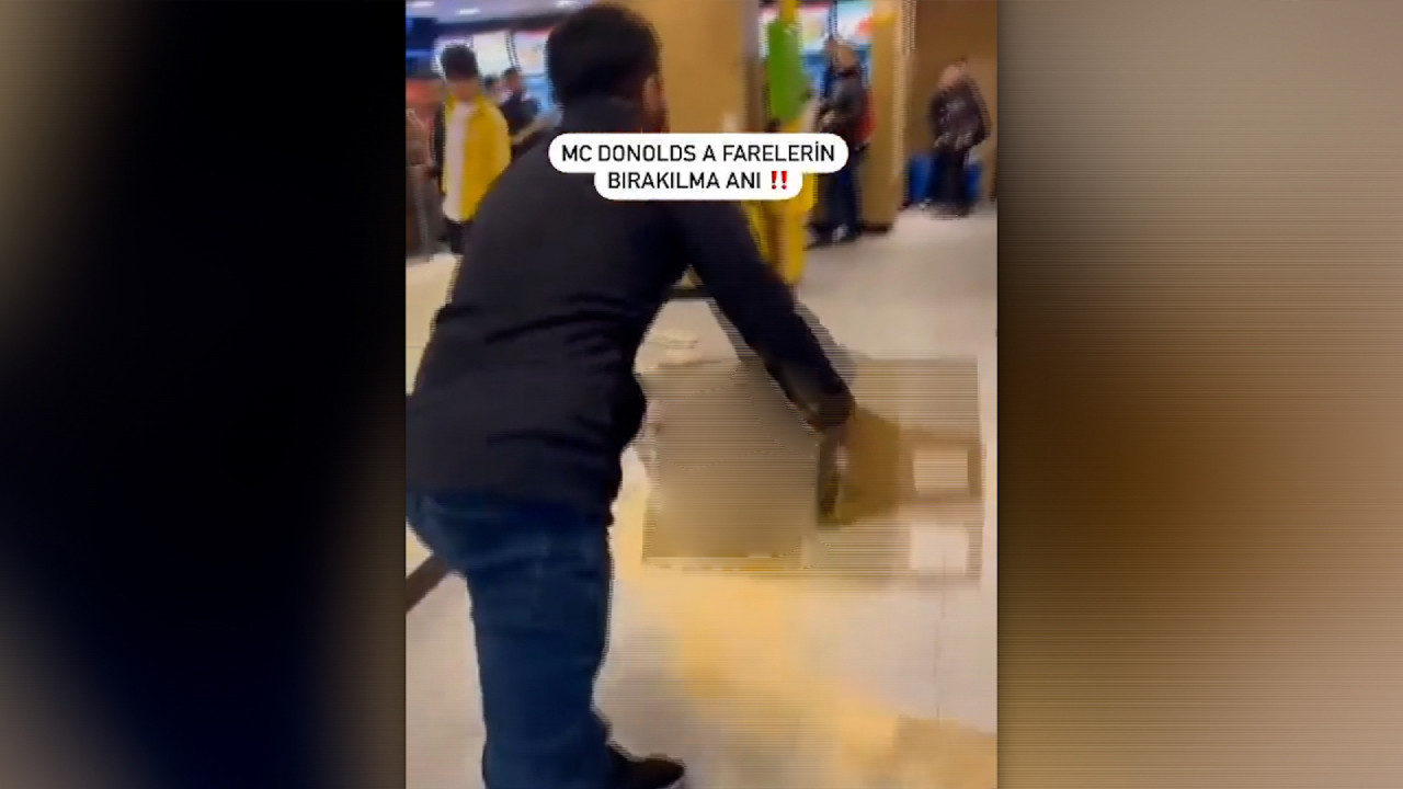 Turkish man releases box of mice into McDonald’s restaurant to protest alleged support to Israel