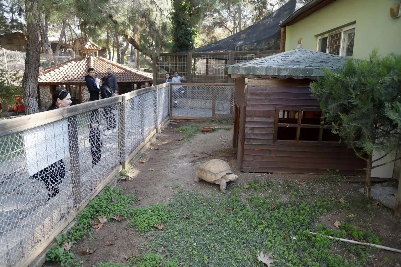 Captive animals in Turkey’s zoo cannot hibernate due to extreme heat - Page 2