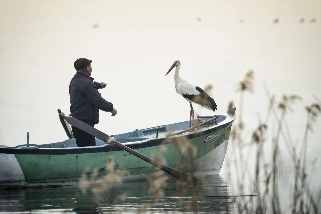 Stork reunites with Turkish man for 13th consecutive year - Page 4