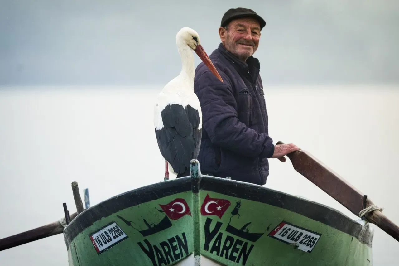 Stork reunites with Turkish man for 13th consecutive year