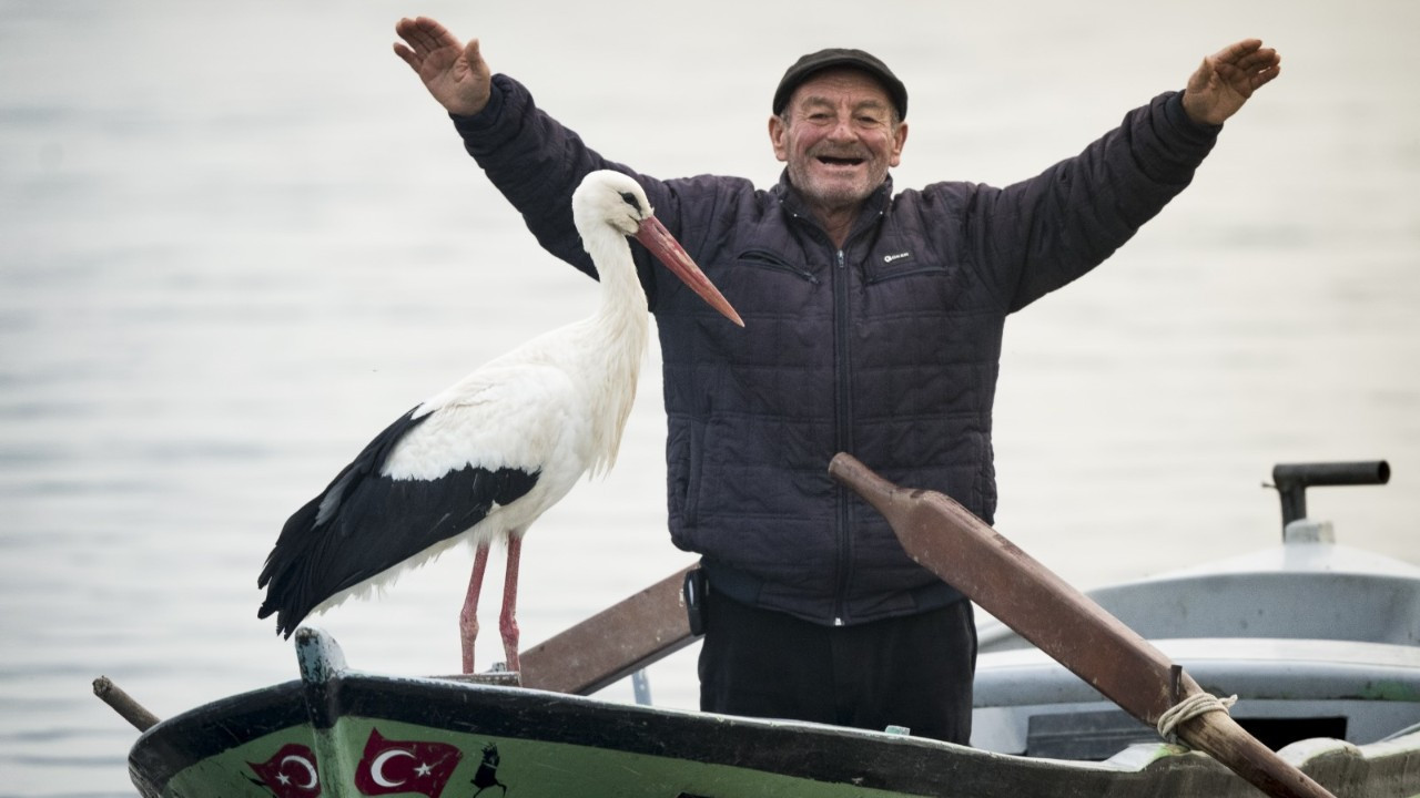 Stork reunites with Turkish man for 13th consecutive year