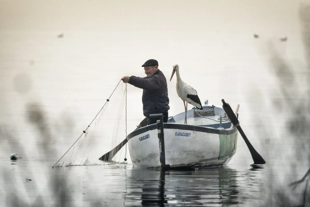 Stork reunites with Turkish man for 13th consecutive year - Page 5