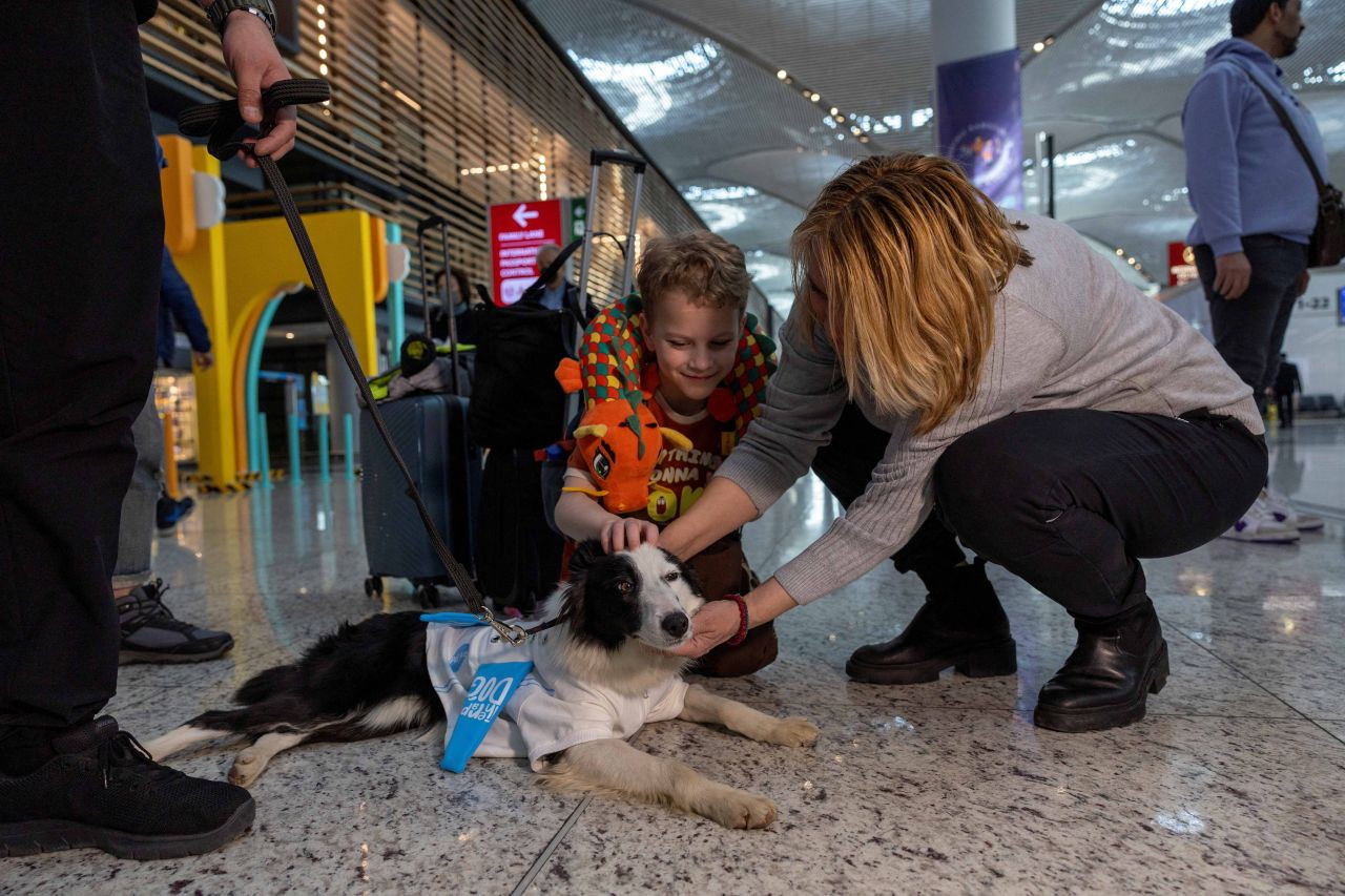 Istanbul Airport launches therapy dog program to reduce stress among passengers - Page 3