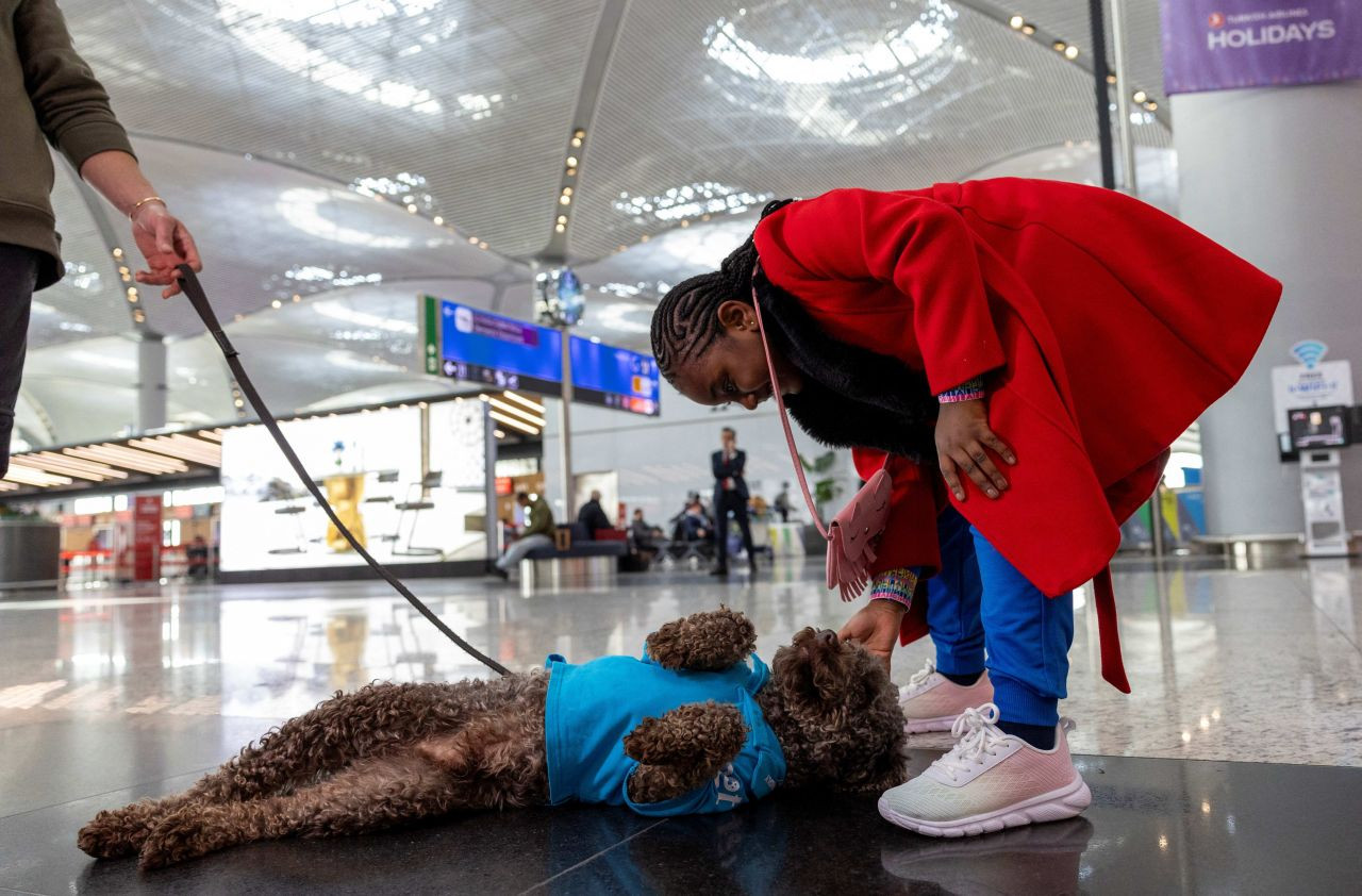 Istanbul Airport launches therapy dog program to reduce stress among passengers - Page 5