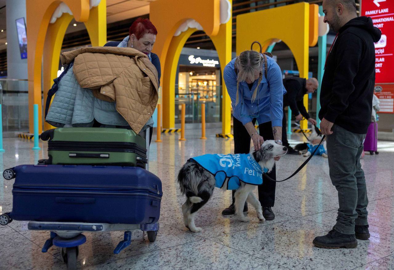 Istanbul Airport launches therapy dog program to reduce stress among passengers - Page 1