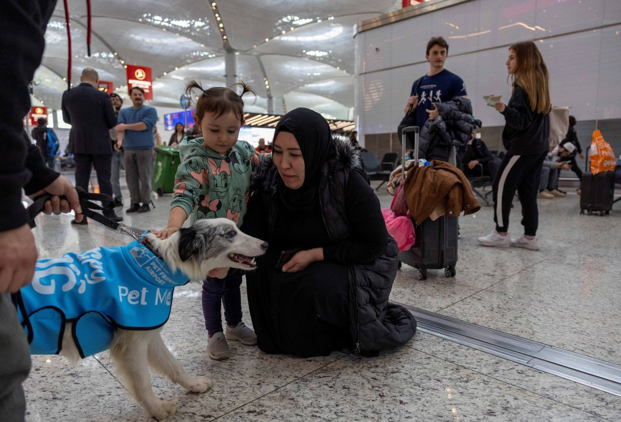 Istanbul Airport launches therapy dog program to reduce stress among passengers - Page 2
