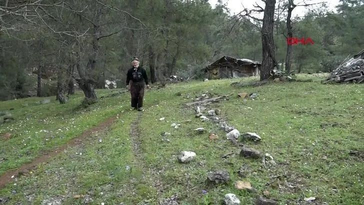 Turkish shepherd lives alone in mountain for 17 years after traumatic theft incident - Page 3