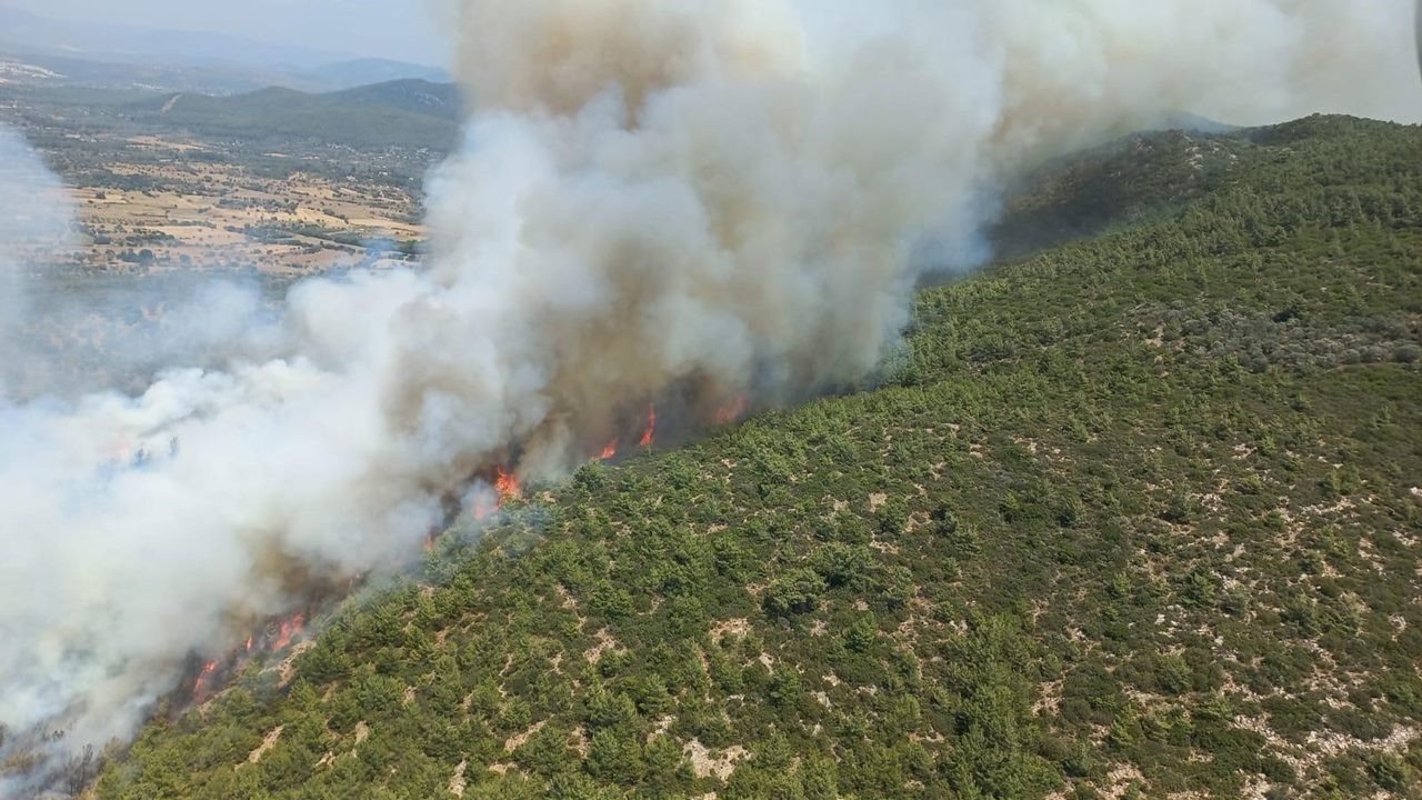 Turkey’s western Muğla province sees 178 fires in 2024