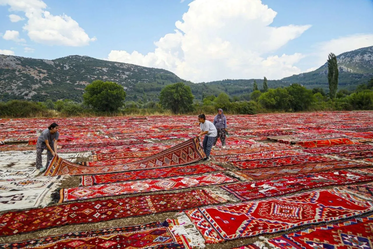 Women workers lay rugs in fields in Antalya, creating colorful scenes - Page 2