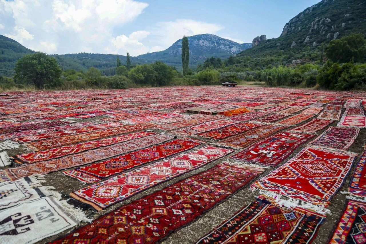 Women workers lay rugs in fields in Antalya, creating colorful scenes - Page 5