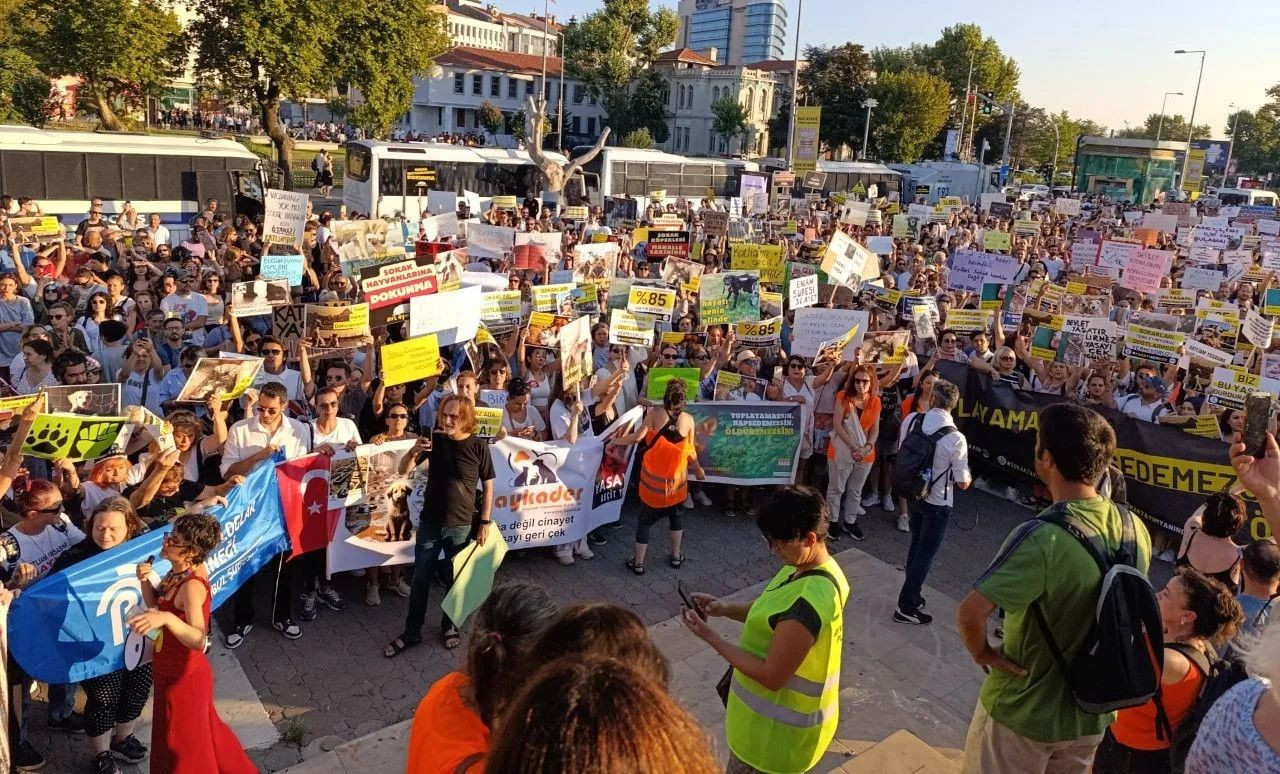 Animal rights advocates once again protest controversial stray dog bill in Istanbul - Page 2