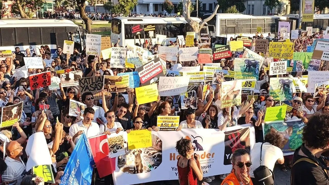 Animal rights advocates once again protest controversial stray dog bill in Istanbul - Page 3