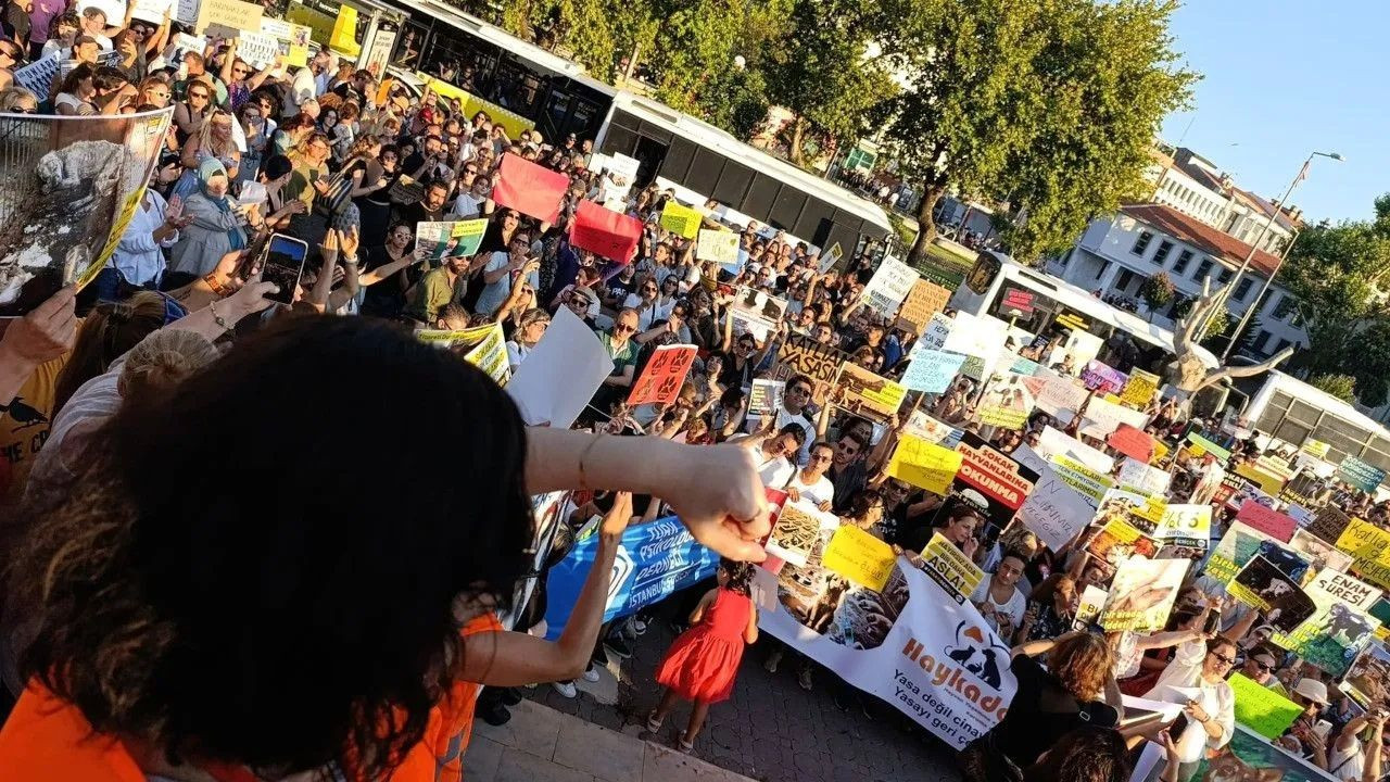 Animal rights advocates once again protest controversial stray dog bill in Istanbul - Page 5