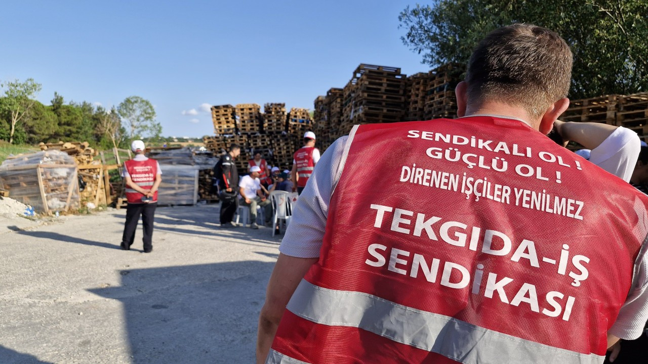 Turkish meat factory fires unionized workers, leading to protests 